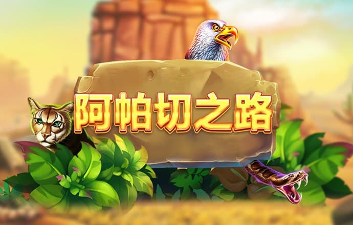 bibo必博体育网